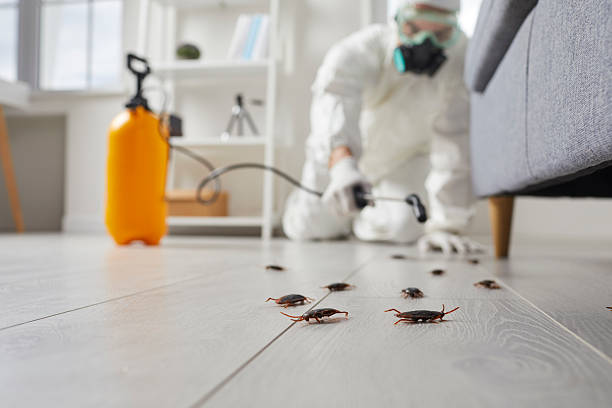 Commercial Kitchen Cockroach Control in Grand Forks AFB