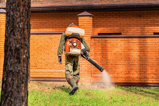 Cockroach Follow-Up and Monitoring in Grand Forks AFB